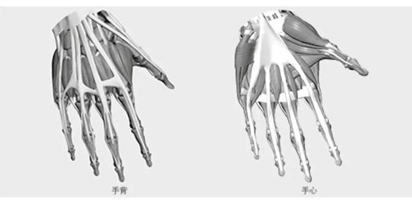 【广州画室人物速写教程】不要把手画得像鸡爪一样了,06