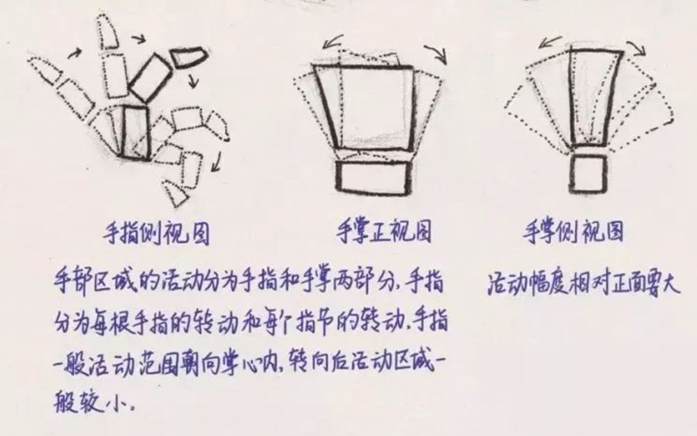 想要速写提分的，就一定要看广州画室整理的提分攻略,05