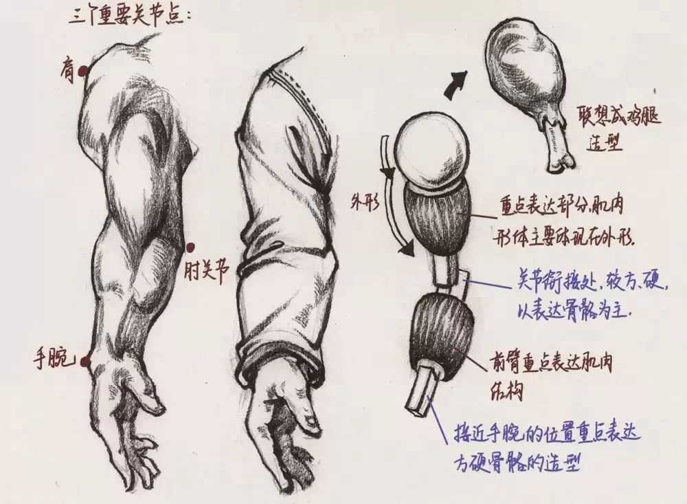 想要速写提分的，就一定要看广州画室整理的提分攻略,37