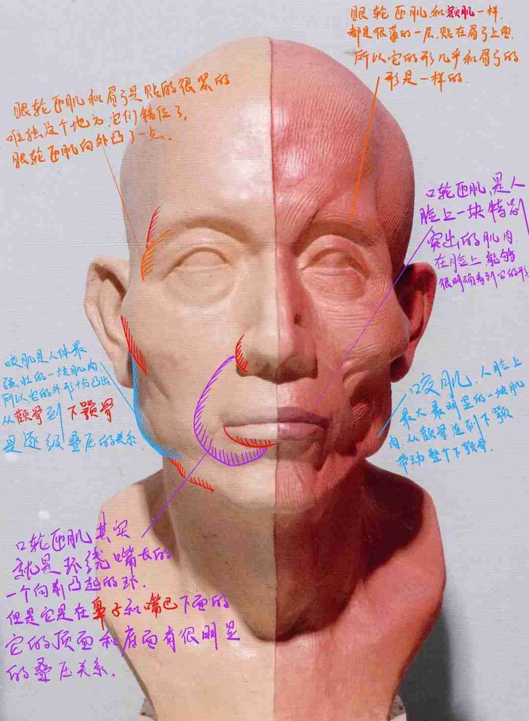 广州画室老度知道你要上美院，这份提分干货赶紧给你送来了,05