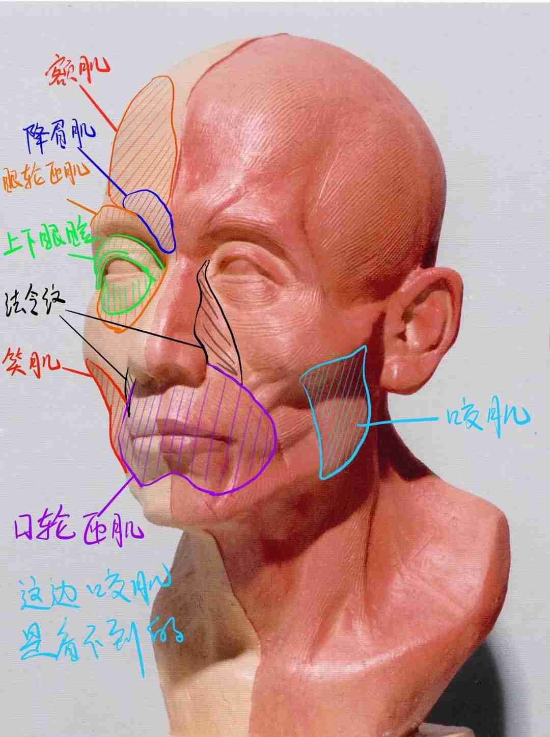 广州画室老度知道你要上美院，这份提分干货赶紧给你送来了,13