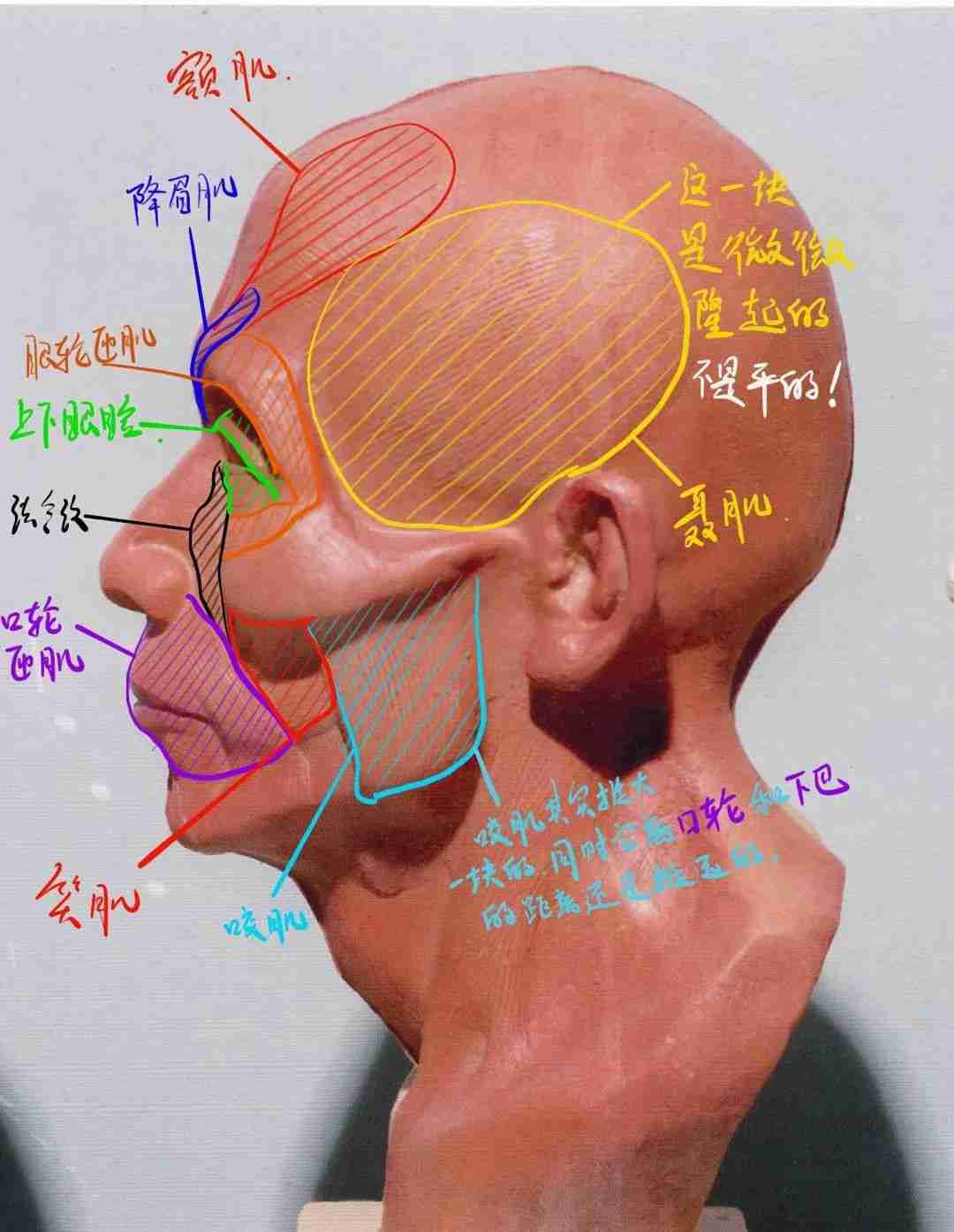 广州画室老度知道你要上美院，这份提分干货赶紧给你送来了,19