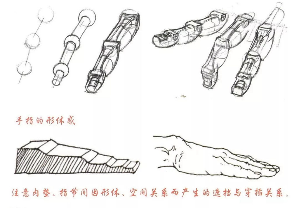 广州画室超强干货丨速写局部刻画之手部